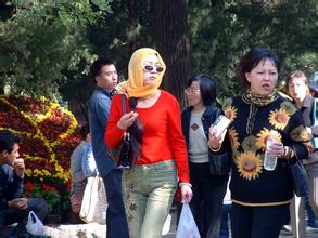 中国人在德冒充女性犯四起强奸案